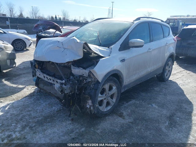 1FMCU0G94EUD03784 Ford ESCAPE SE