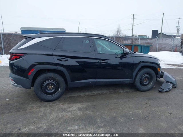 Продаж на аукціоні авто 2025 Hyundai Tucson Sel, vin: 3KMJBCDE3SE024192, номер лоту: 12543708