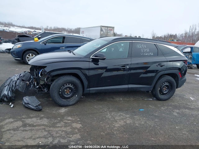 Продаж на аукціоні авто 2025 Hyundai Tucson Sel, vin: 3KMJBCDE3SE024192, номер лоту: 12543708