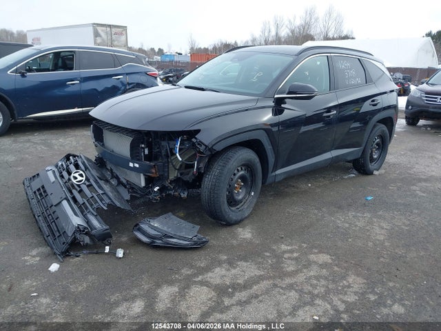 Продаж на аукціоні авто 2025 Hyundai Tucson Sel, vin: 3KMJBCDE3SE024192, номер лоту: 12543708