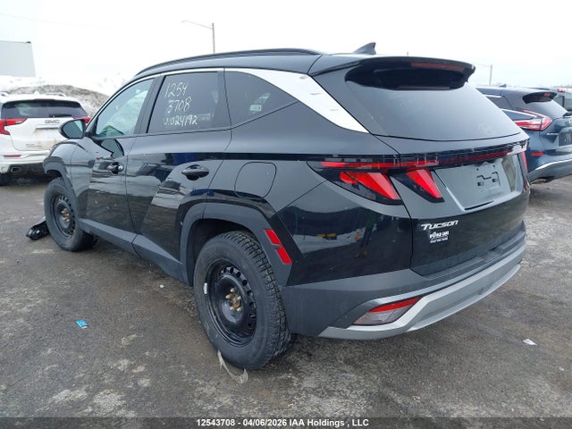 Продаж на аукціоні авто 2025 Hyundai Tucson Sel, vin: 3KMJBCDE3SE024192, номер лоту: 12543708