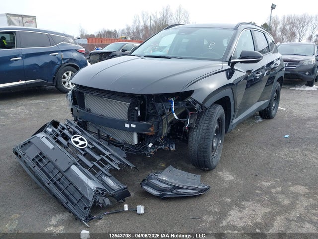 Продаж на аукціоні авто 2025 Hyundai Tucson Sel, vin: 3KMJBCDE3SE024192, номер лоту: 12543708
