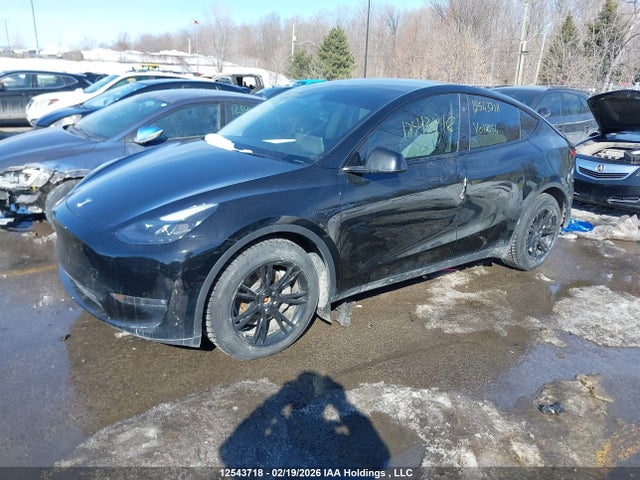 Продажа на аукционе авто 2024 Tesla Model Y, vin: 7SAYGDEE4RF017654, номер лота: 12543718