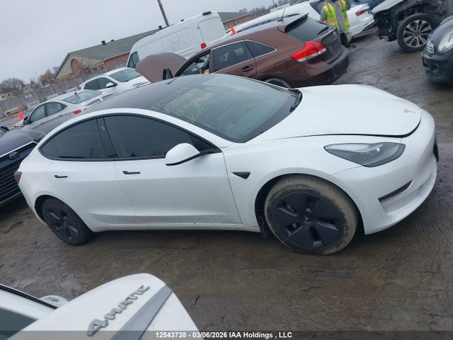 Tesla Model 3 Standard Range/standard Range Plus 2021 5YJ3E1EA1MF048684 Image 12