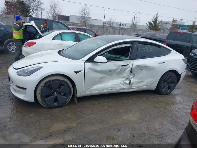 Tesla Model 3 Standard Range/standard Range Plus 2021 5YJ3E1EA1MF048684 Image 13