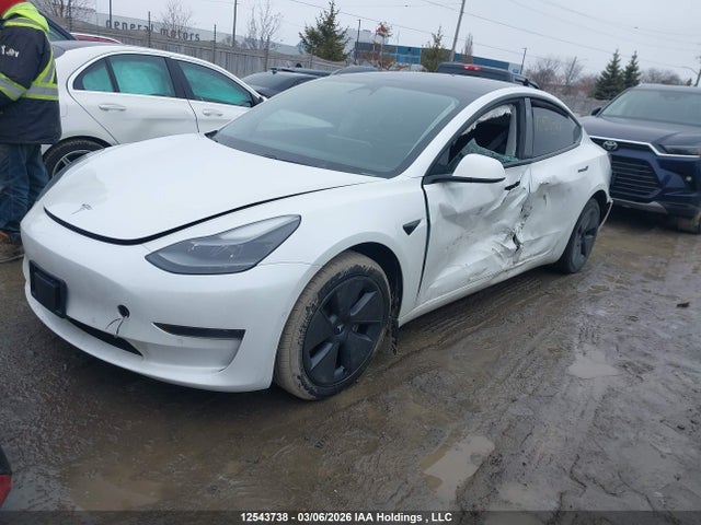 Tesla Model 3 Standard Range/standard Range Plus 2021 5YJ3E1EA1MF048684 Image 2