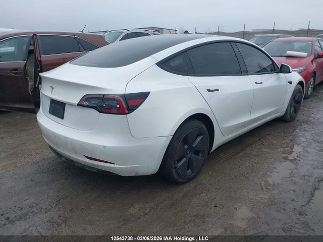 Tesla Model 3 Standard Range/standard Range Plus 2021 5YJ3E1EA1MF048684 Image 4