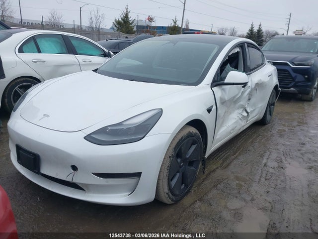Tesla Model 3 Standard Range/standard Range Plus 2021 5YJ3E1EA1MF048684 Image 6