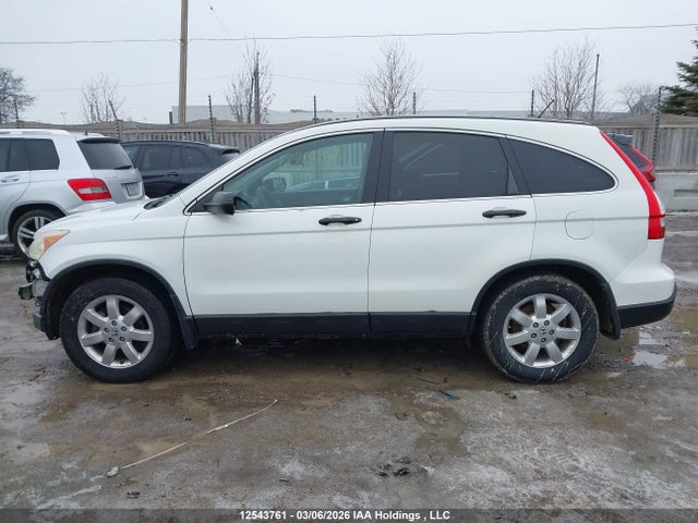 Aukcja sprzedaży 2008 Honda Cr-v, vin: 5J6RE48548L805990, numer aukcji: 12543761