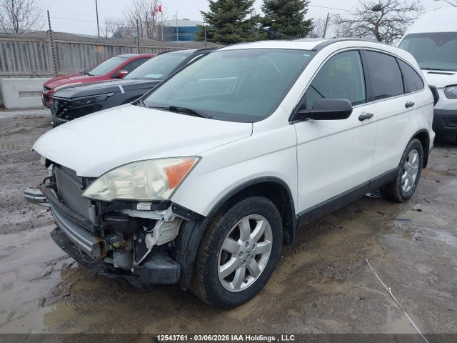 Aukcja sprzedaży 2008 Honda Cr-v, vin: 5J6RE48548L805990, numer aukcji: 12543761