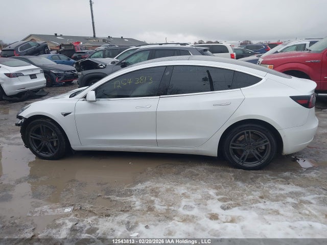 Aukcja sprzedaży 2020 Tesla Model 3 Standard Range Plus, vin: 5YJ3E1EA6LF603823, numer aukcji: 12543813