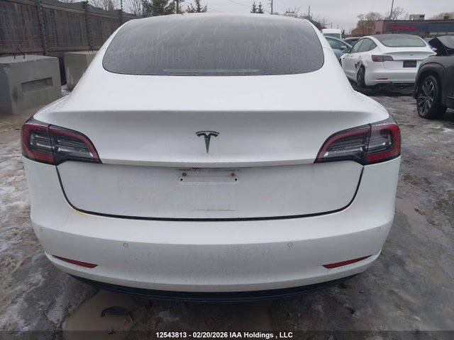 Aukcja sprzedaży 2020 Tesla Model 3 Standard Range Plus, vin: 5YJ3E1EA6LF603823, numer aukcji: 12543813