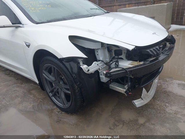 Aukcja sprzedaży 2020 Tesla Model 3 Standard Range Plus, vin: 5YJ3E1EA6LF603823, numer aukcji: 12543813