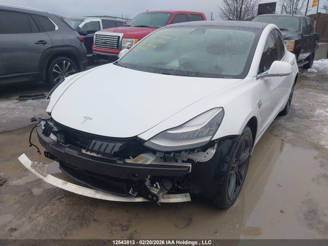 Aukcja sprzedaży 2020 Tesla Model 3 Standard Range Plus, vin: 5YJ3E1EA6LF603823, numer aukcji: 12543813