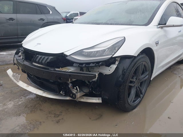 Aukcja sprzedaży 2020 Tesla Model 3 Standard Range Plus, vin: 5YJ3E1EA6LF603823, numer aukcji: 12543813
