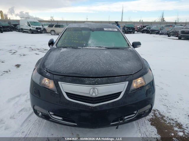 Продажа на аукционе авто 2012 Acura Tl, vin: 19UUA9F71CA801317, номер лота: 12543827