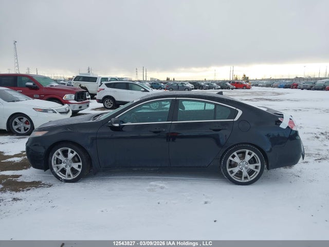 Продажа на аукционе авто 2012 Acura Tl, vin: 19UUA9F71CA801317, номер лота: 12543827