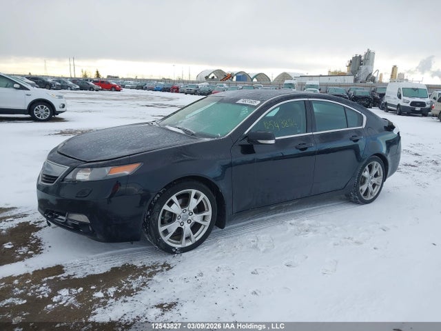 Продажа на аукционе авто 2012 Acura Tl, vin: 19UUA9F71CA801317, номер лота: 12543827