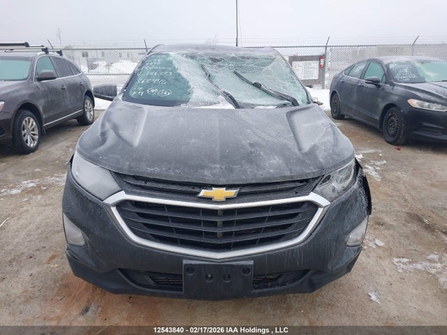 2GNAXREV3J6186223 Chevrolet EQUINOX LS