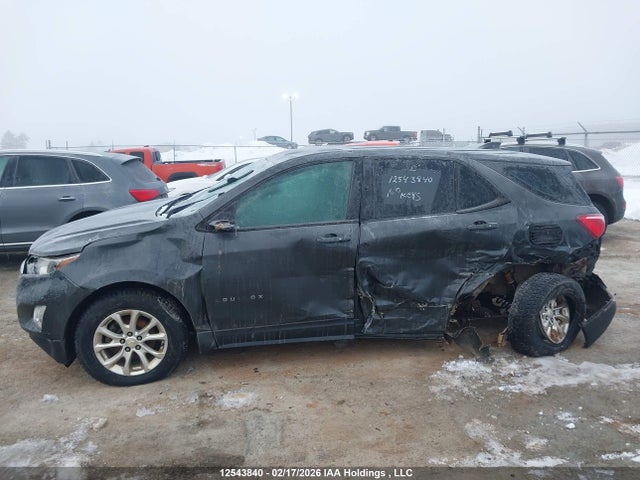 2GNAXREV3J6186223 Chevrolet EQUINOX LS