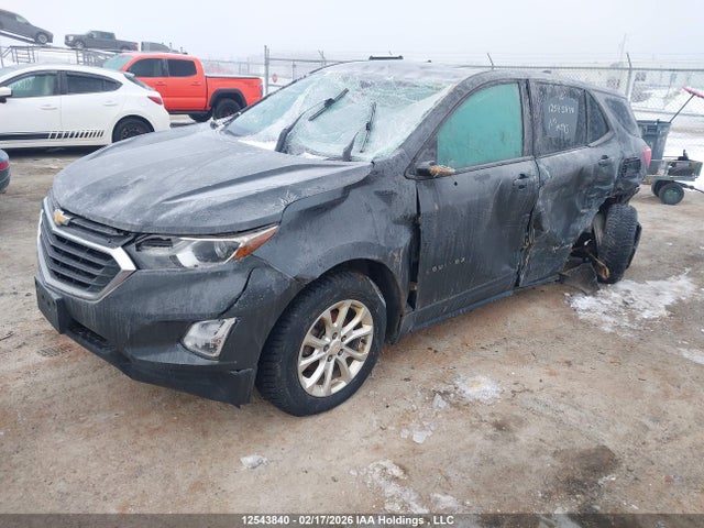 2GNAXREV3J6186223 Chevrolet EQUINOX LS