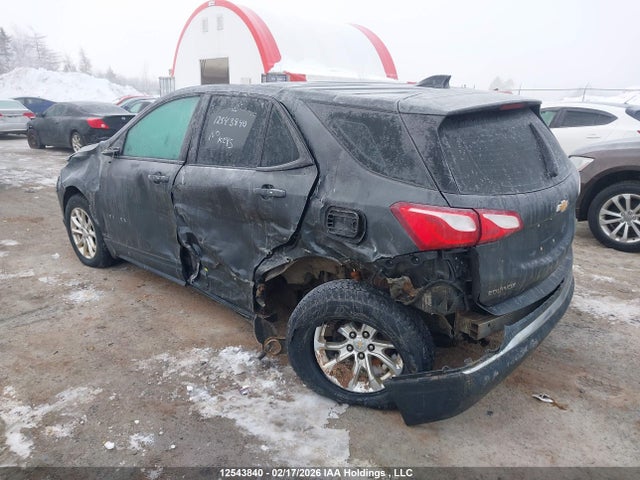 2GNAXREV3J6186223 Chevrolet EQUINOX LS