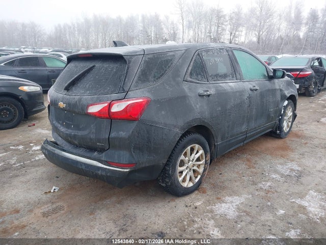 2GNAXREV3J6186223 Chevrolet EQUINOX LS