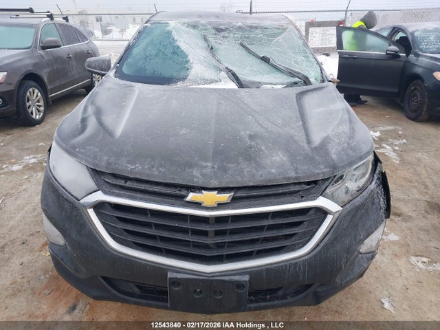 2GNAXREV3J6186223 Chevrolet EQUINOX LS