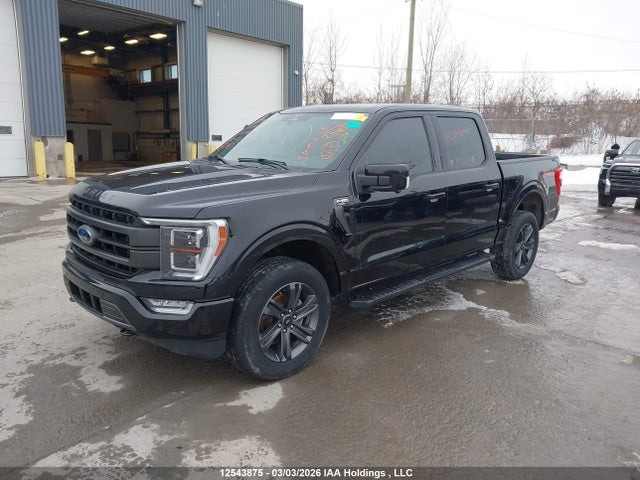 Продаж на аукціоні авто 2023 Ford F150 Supercrew, vin: 1FTFW1E8XPKE58138, номер лоту: 12543875