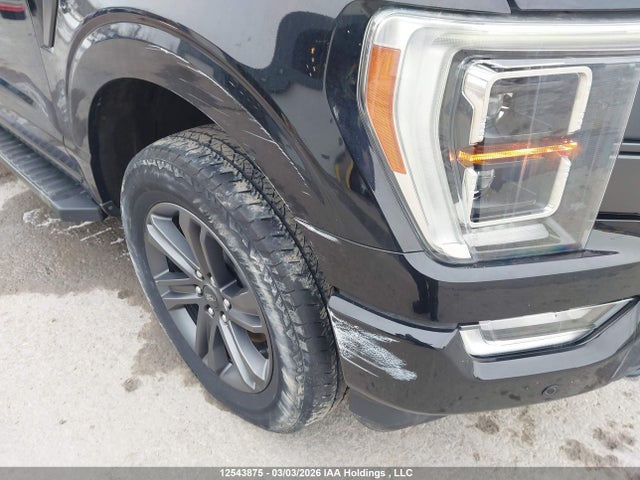 Продаж на аукціоні авто 2023 Ford F150 Supercrew, vin: 1FTFW1E8XPKE58138, номер лоту: 12543875