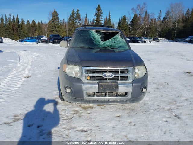 2009 Ford Escape Limited მანქანა იყიდება აუქციონზე, vin: 1FMCU94G49KC29372, აუქციონის ნომერი: 12543898