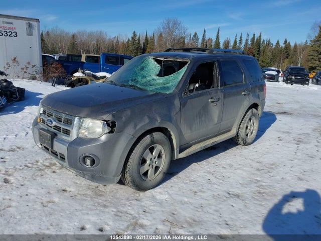 2009 Ford Escape Limited მანქანა იყიდება აუქციონზე, vin: 1FMCU94G49KC29372, აუქციონის ნომერი: 12543898