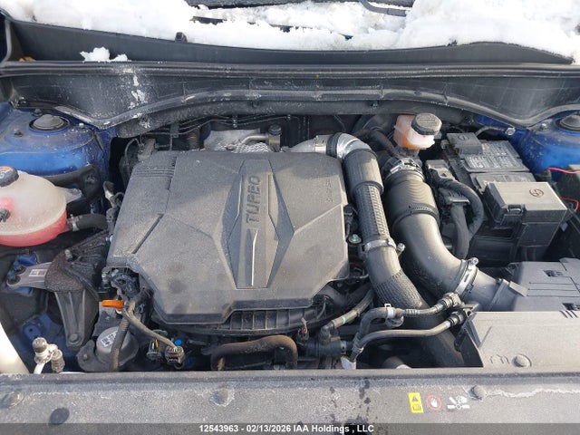 KIA SORENTO EX 2023 5XYRHDLF6PG244814 Image 10