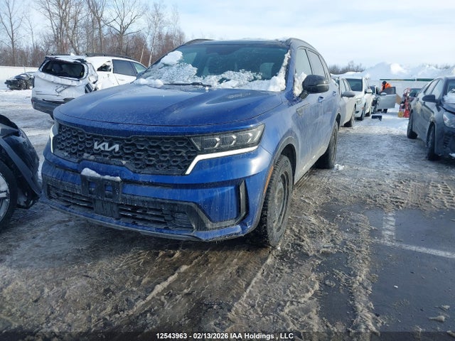 KIA SORENTO EX 2023 5XYRHDLF6PG244814 Image 2