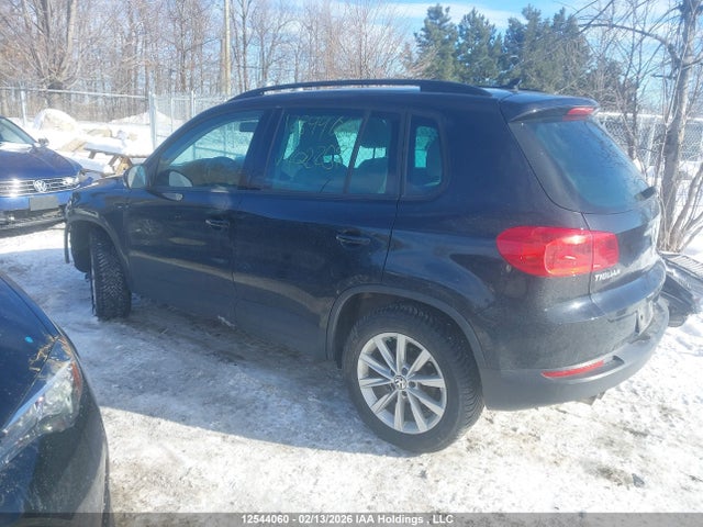 WVGJV7AX7FW102259 Volkswagen Tiguan Comfortline/highline/special Edition/trendline