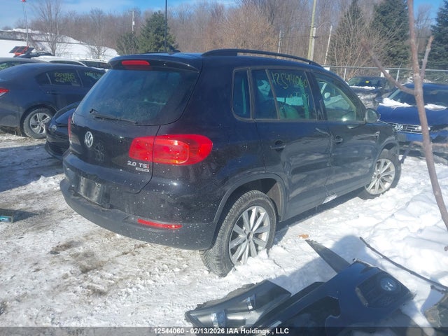 WVGJV7AX7FW102259 Volkswagen Tiguan Comfortline/highline/special Edition/trendline