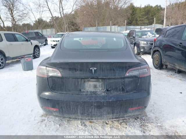 Tesla MODEL 3 2019 5YJ3E1EA3KF395768 Image 16