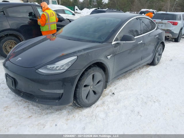 Tesla MODEL 3 2019 5YJ3E1EA3KF395768 Image 2