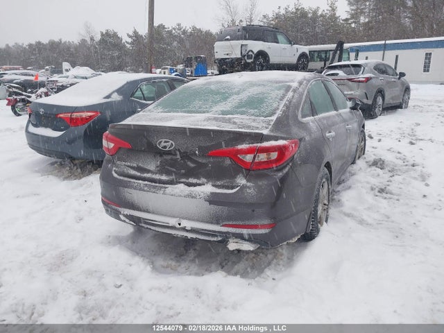 5NPE24AF9GH423411 Hyundai SONATA SE