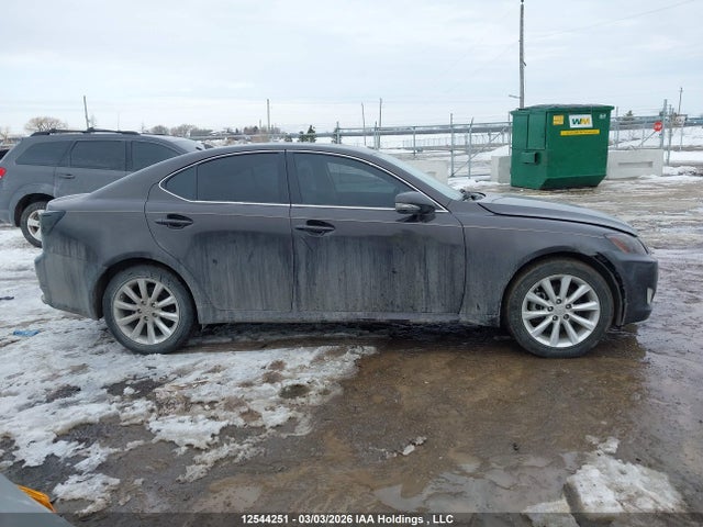 2009 Lexus Is 250 მანქანა იყიდება აუქციონზე, vin: JTHCK262595029648, აუქციონის ნომერი: 12544251