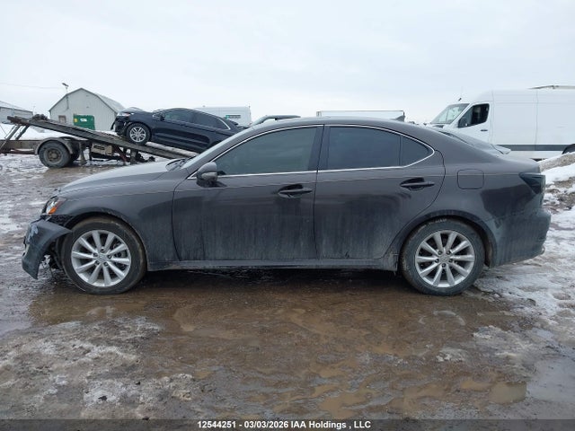 2009 Lexus Is 250 მანქანა იყიდება აუქციონზე, vin: JTHCK262595029648, აუქციონის ნომერი: 12544251