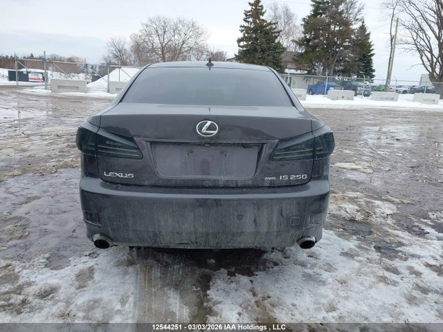 2009 Lexus Is 250 მანქანა იყიდება აუქციონზე, vin: JTHCK262595029648, აუქციონის ნომერი: 12544251