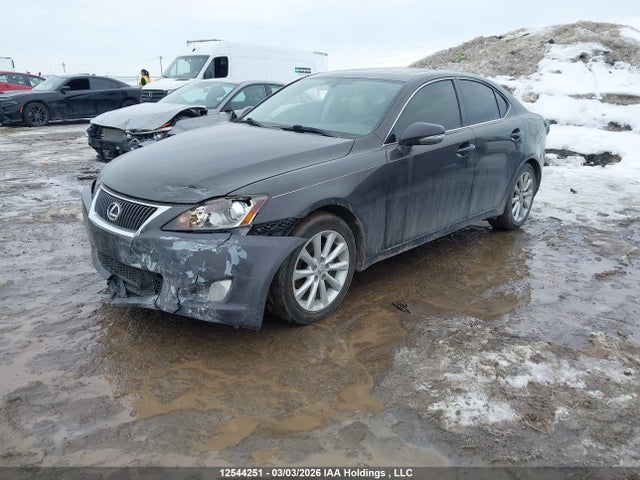 2009 Lexus Is 250 მანქანა იყიდება აუქციონზე, vin: JTHCK262595029648, აუქციონის ნომერი: 12544251