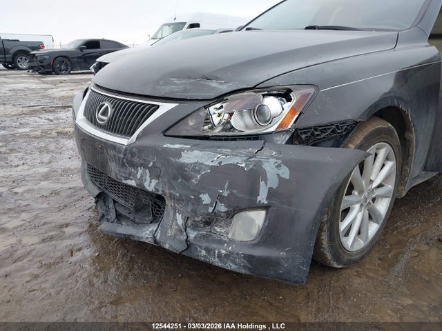 2009 Lexus Is 250 მანქანა იყიდება აუქციონზე, vin: JTHCK262595029648, აუქციონის ნომერი: 12544251
