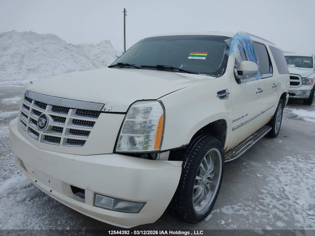 Продаж на аукціоні авто 2007 Cadillac Escalade Esv, vin: 1GYFK66877R176001, номер лоту: 12544392