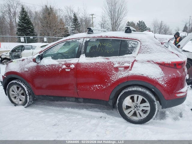 KNDPMCAC0H7175560 KIA Sportage