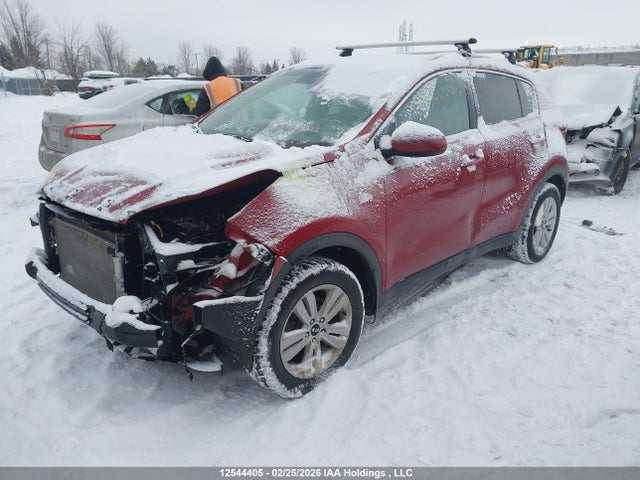 KNDPMCAC0H7175560 KIA Sportage