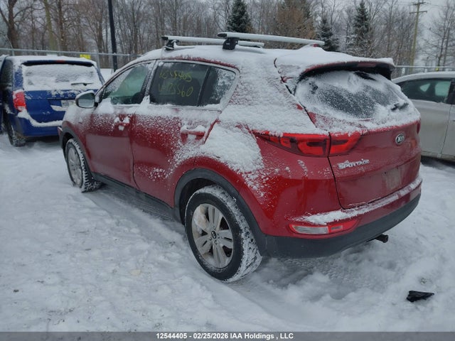 KNDPMCAC0H7175560 KIA Sportage