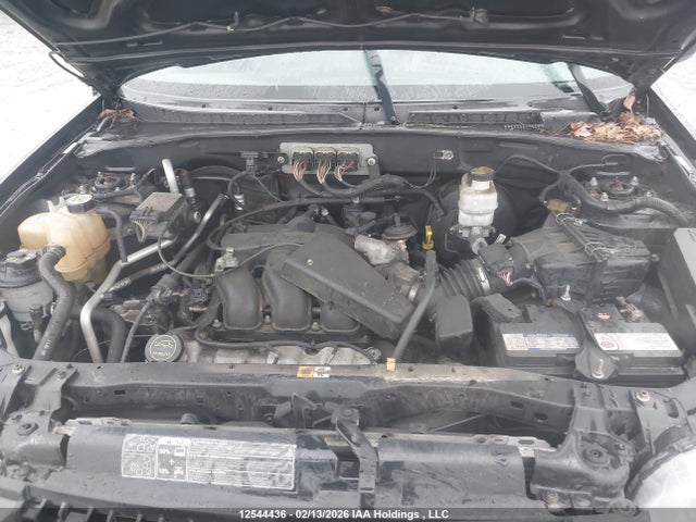 2007 Ford Escape Xlt მანქანა იყიდება აუქციონზე, vin: 1FMYU93167KA63744, აუქციონის ნომერი: 12544436