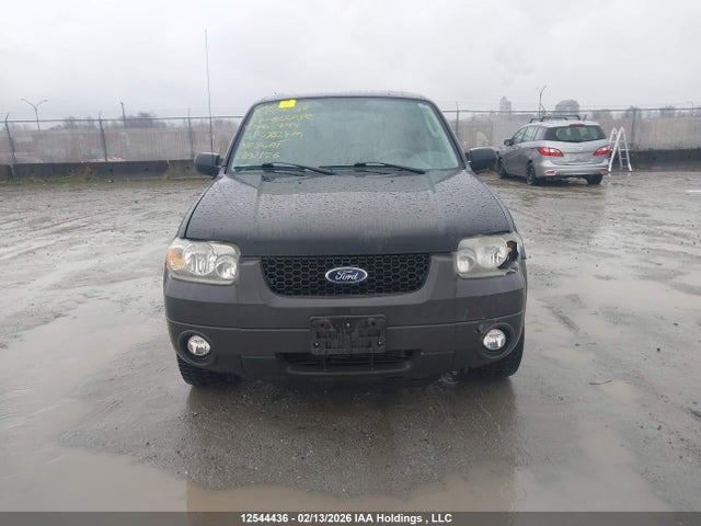 2007 Ford Escape Xlt მანქანა იყიდება აუქციონზე, vin: 1FMYU93167KA63744, აუქციონის ნომერი: 12544436